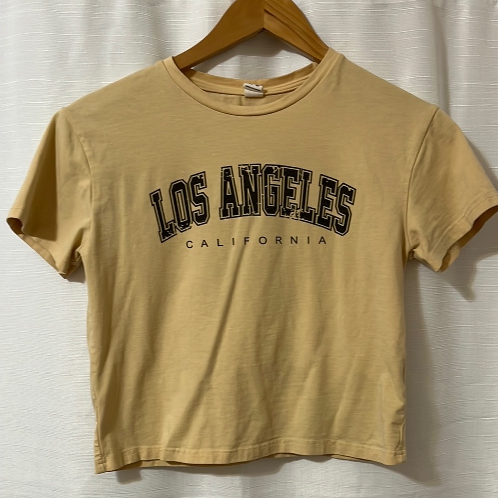 SHEIN Blue Tan Crop Tee with Crew Neck